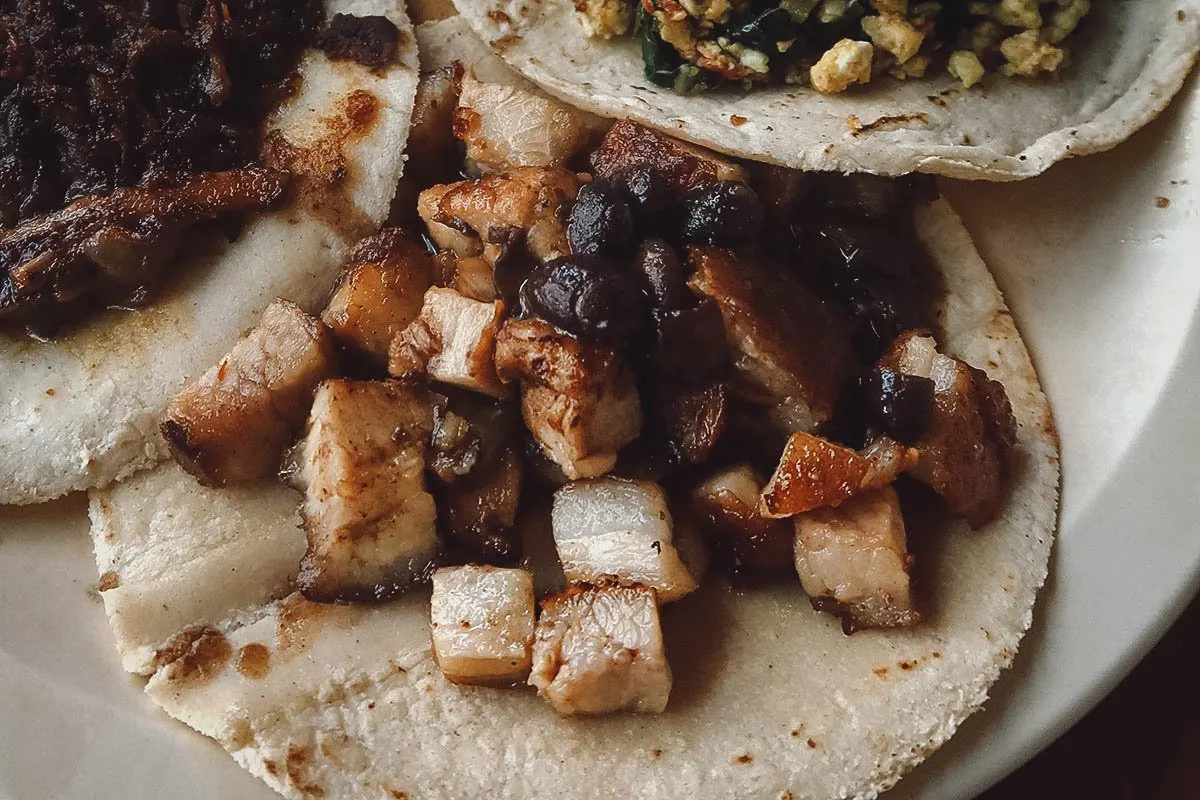 Corn tortilla filled with castacan meat