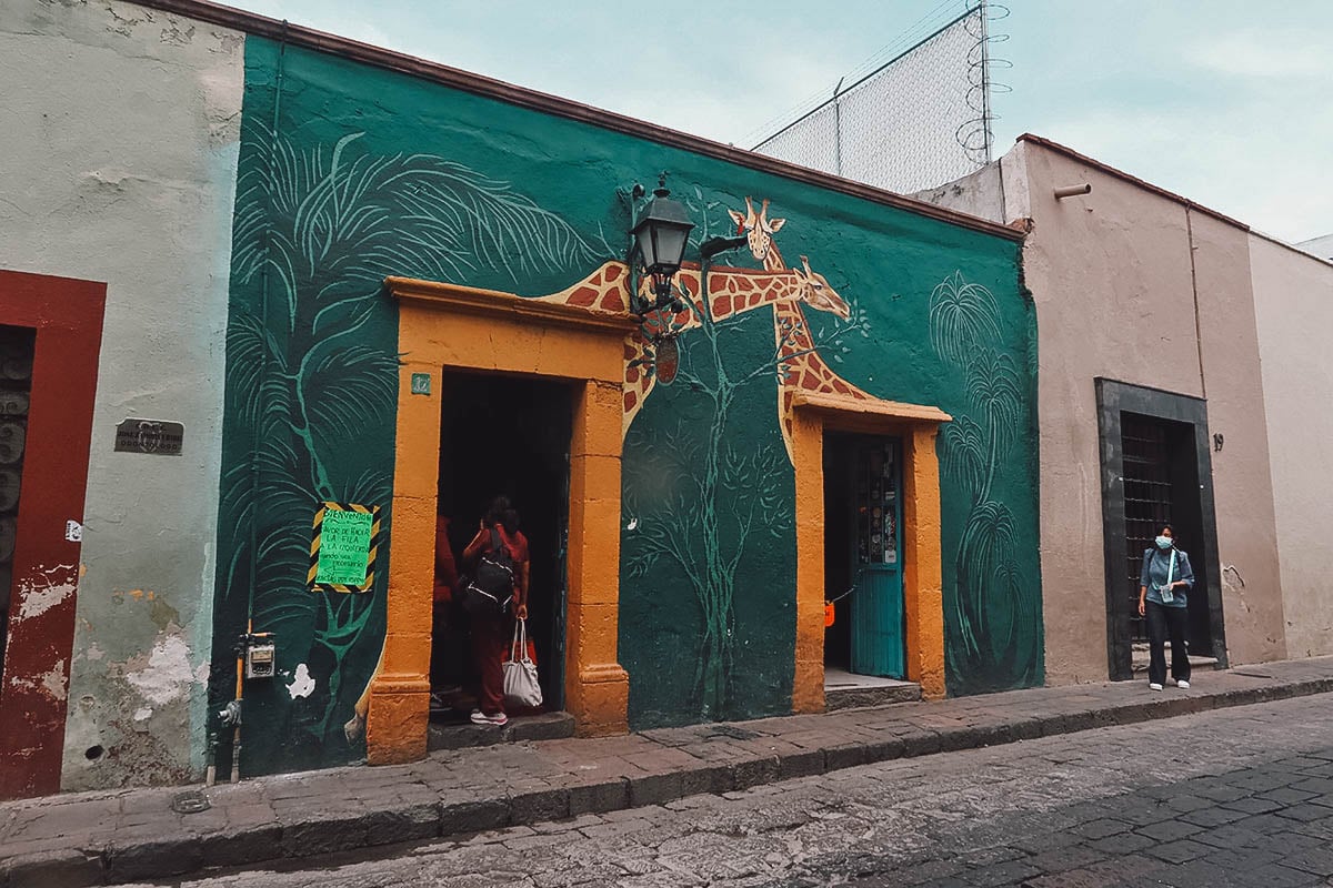 Entrance to La Biznaga Arte y Cafe restaurant in Queretaro