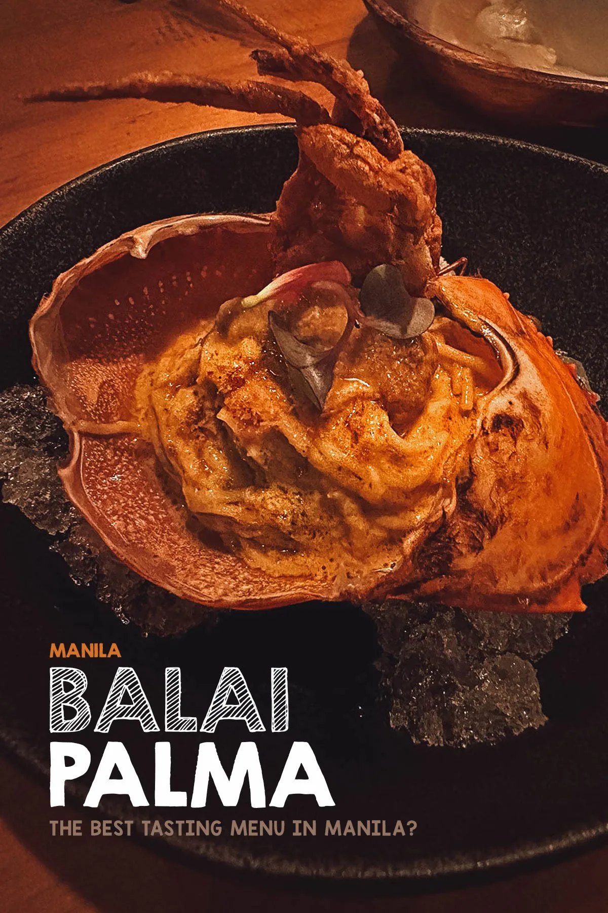 Tasting menu dish at Balai Palma, Manila, Philippines