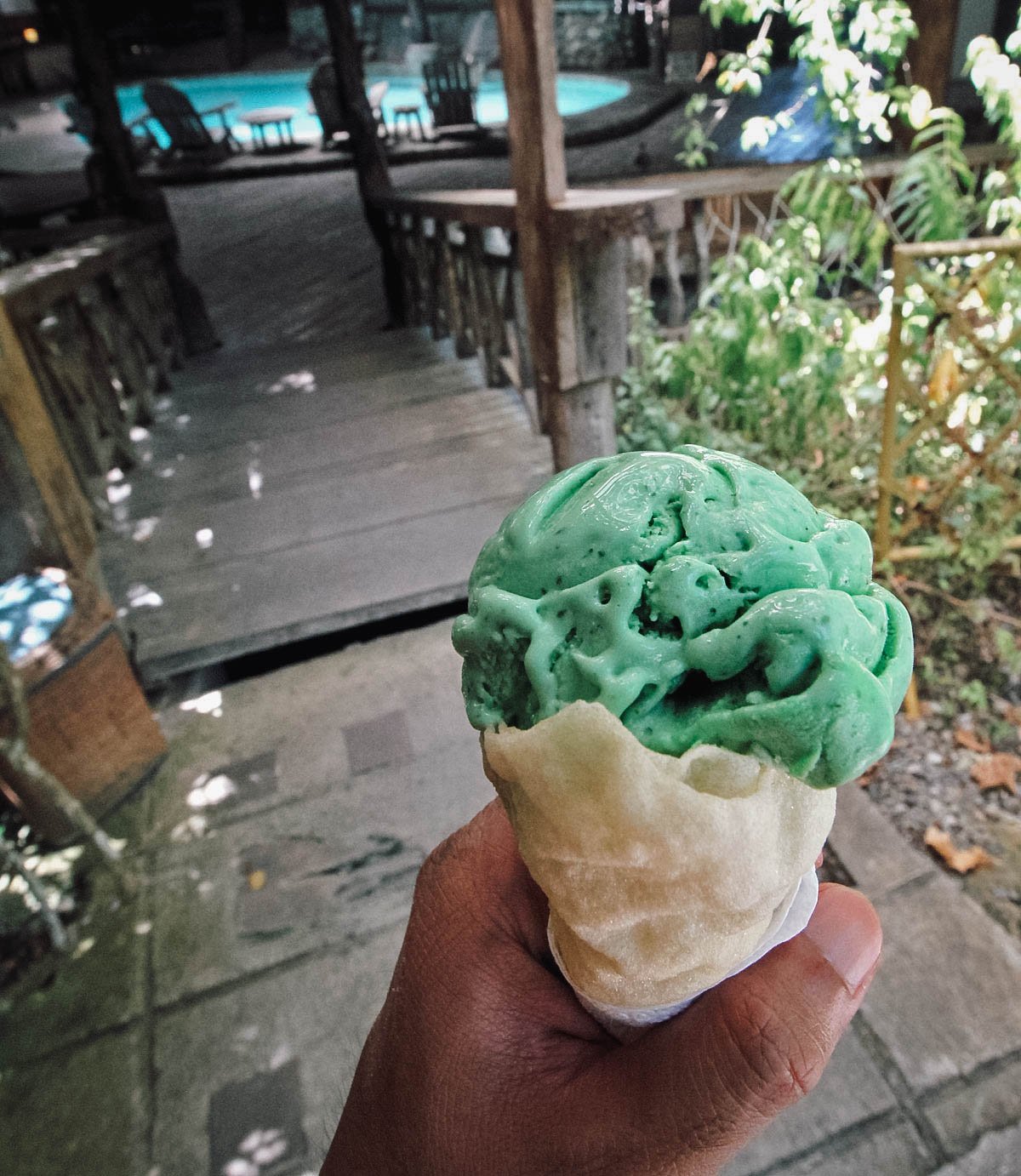 Malunggay ice cream in Bohol