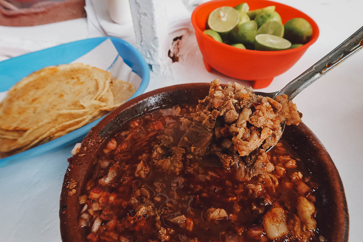 Birria tacos