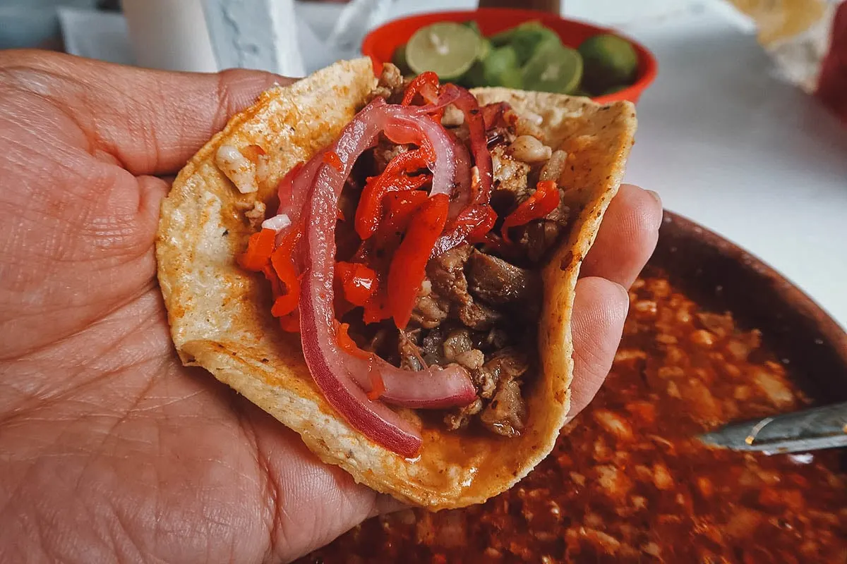 Birria tacos