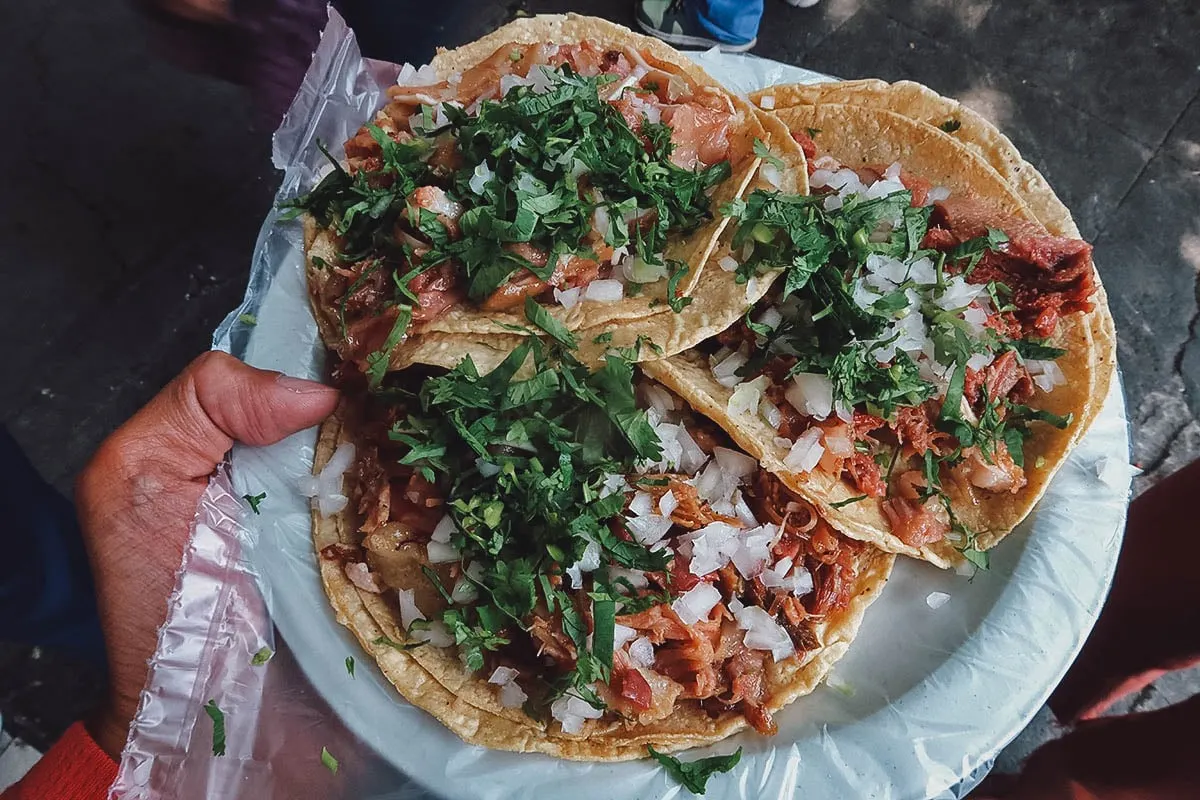 Tacos de carnitas