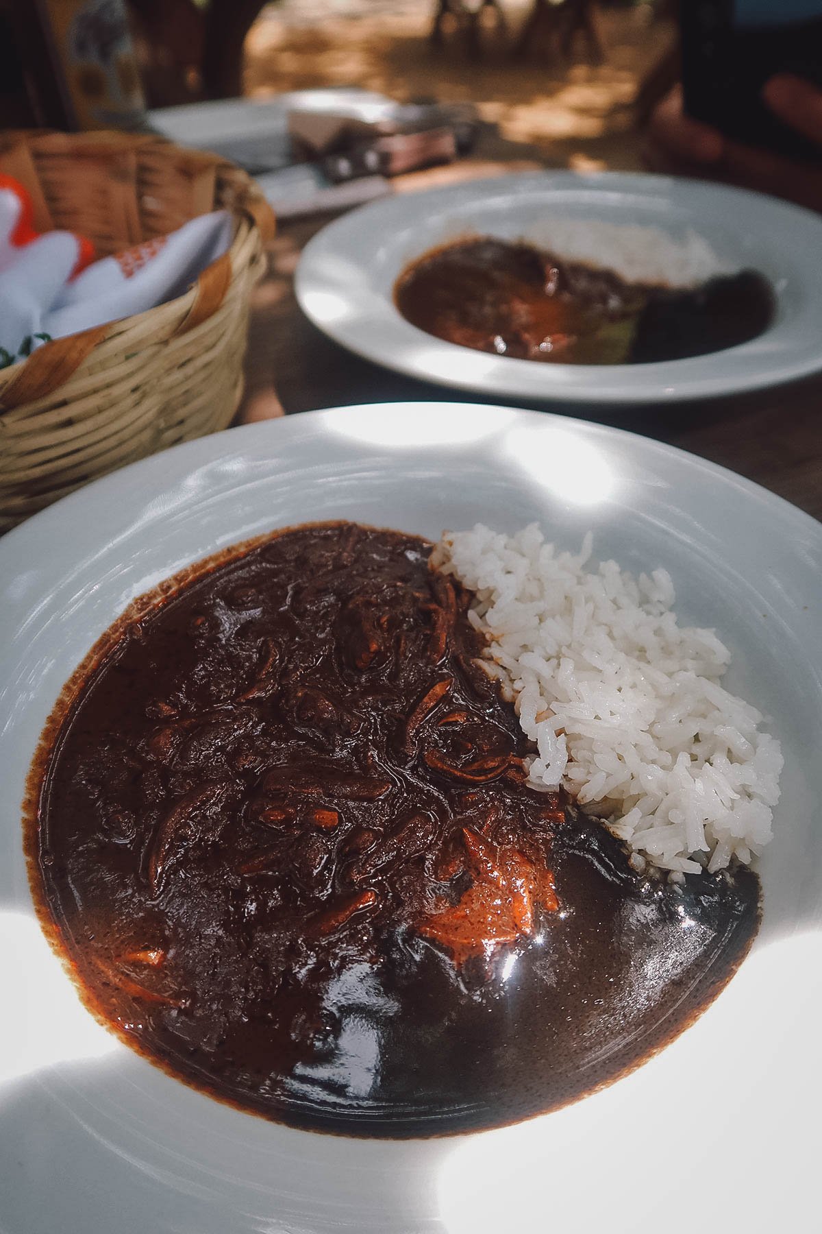 Mole at Alfonsina restaurant in Oaxaca, Mexico
