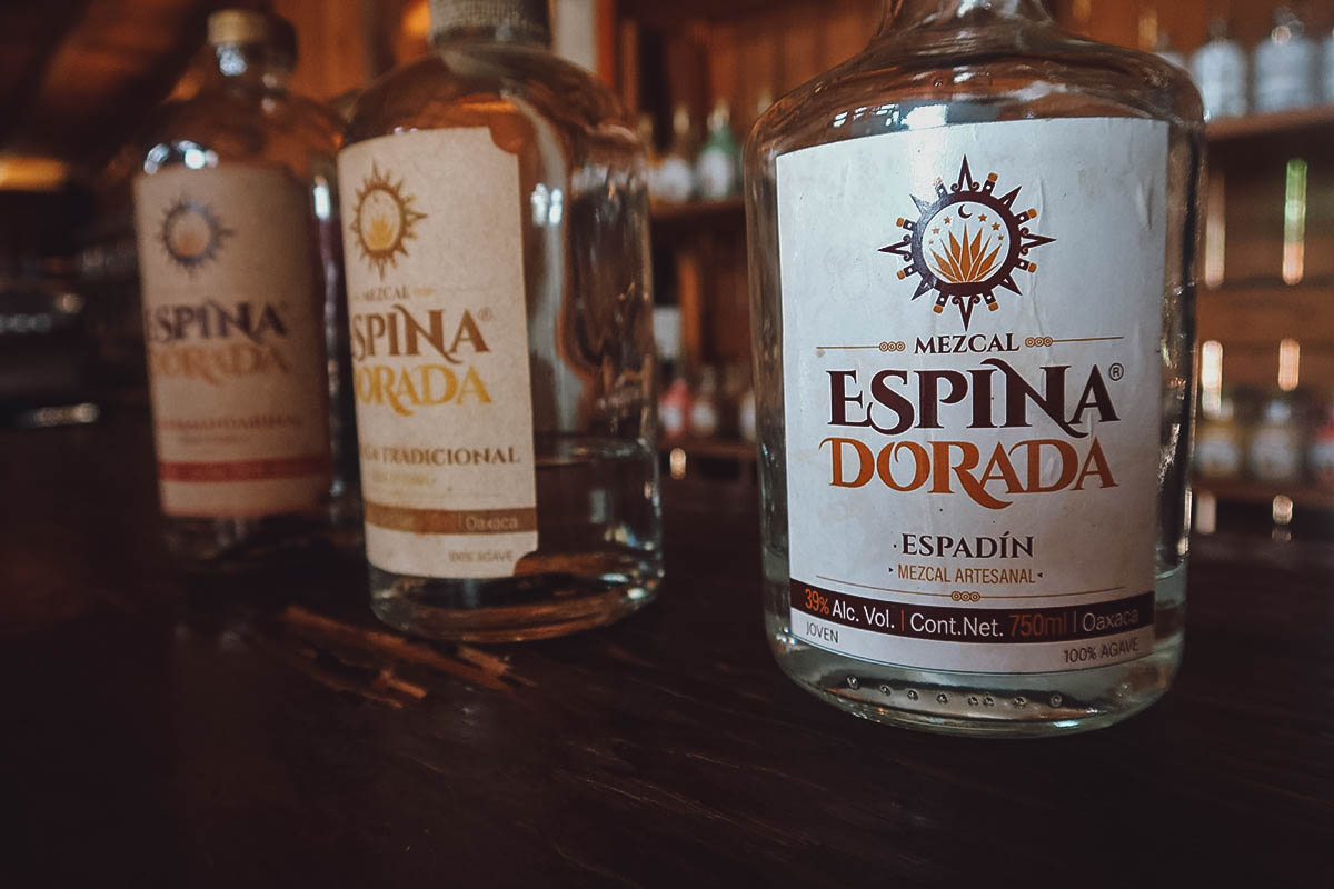 Mezcal bottles at Mezcal Espina Dorada in Oaxaca, Mexico