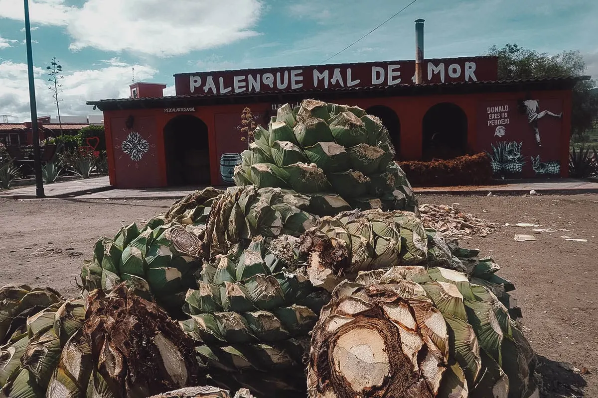 Mal de Amor Mezcaleria in Oaxaca, Mexico