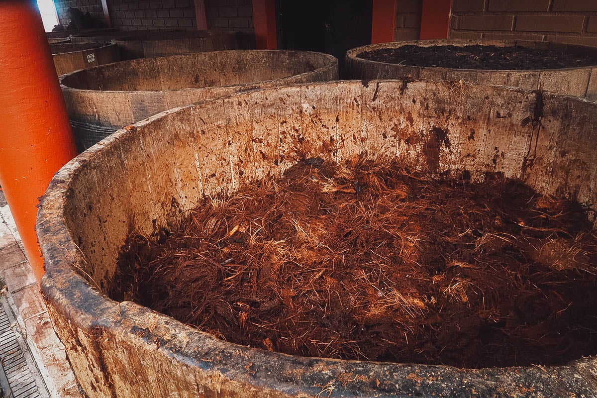 Agave fibers drying in vats at Mal de Amor Mezcaleria in Oaxaca, Mexico