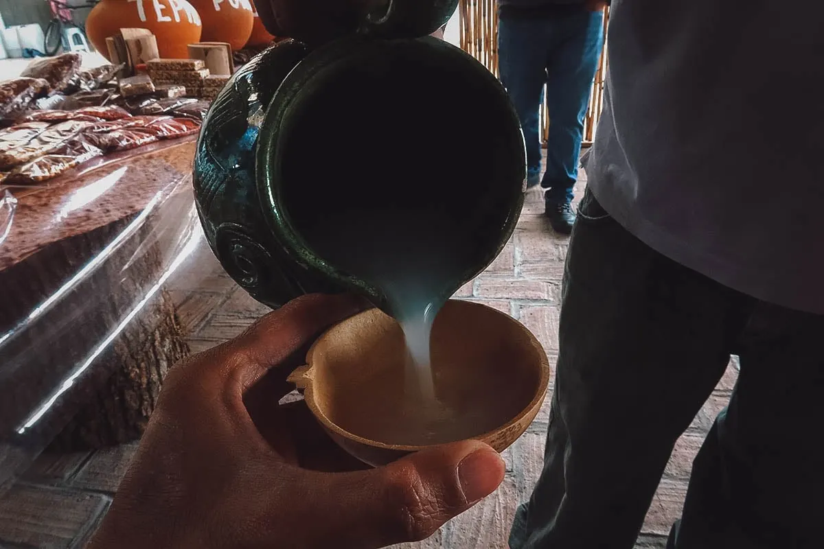 Pulque at Mal de Amor Mezcaleria in Oaxaca, Mexico