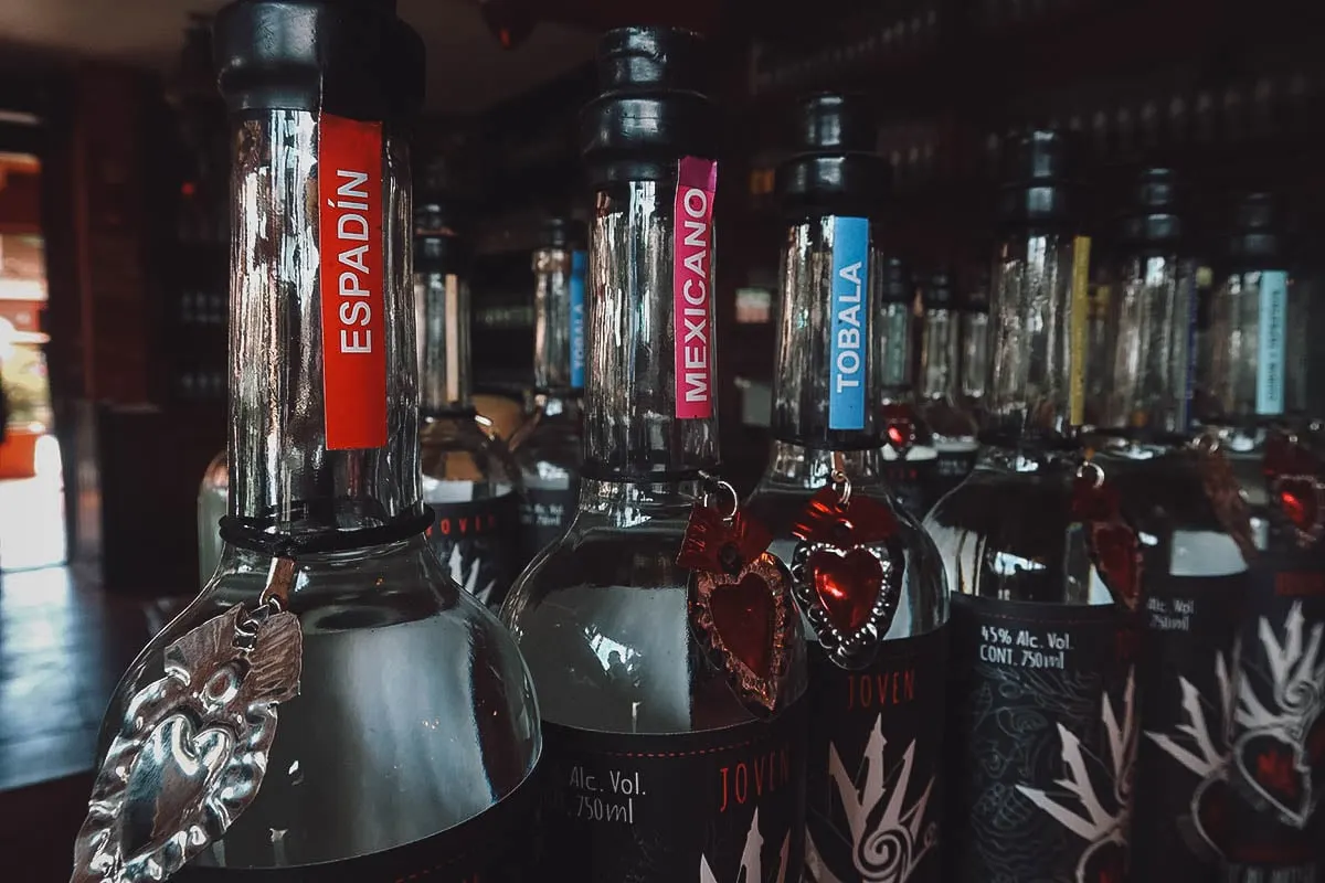 Bottles of mezcal at Mal de Amor Mezcaleria in Oaxaca, Mexico