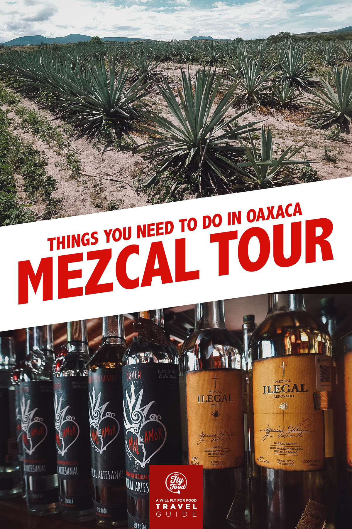 Agave plants and mezcal bottles