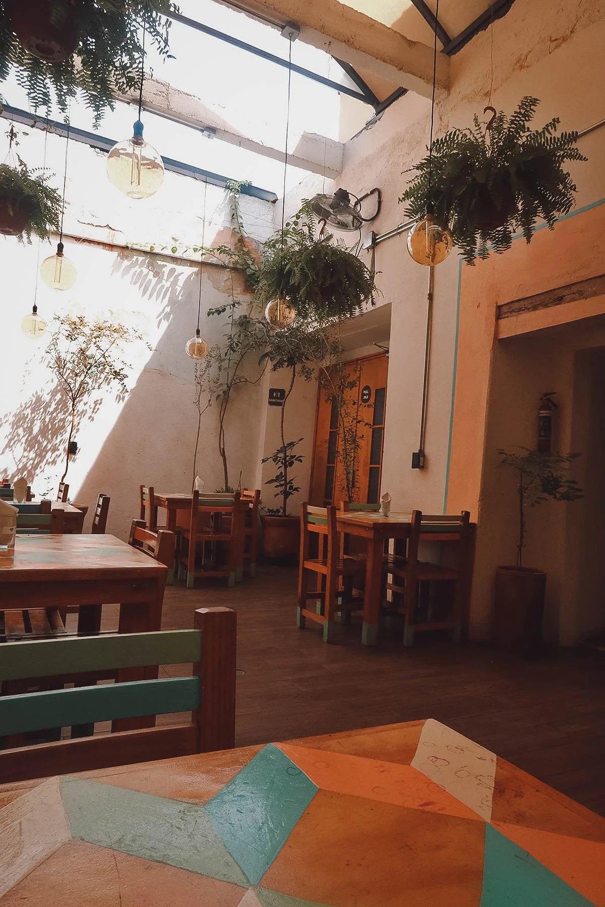 Casa Taviche restaurant interior