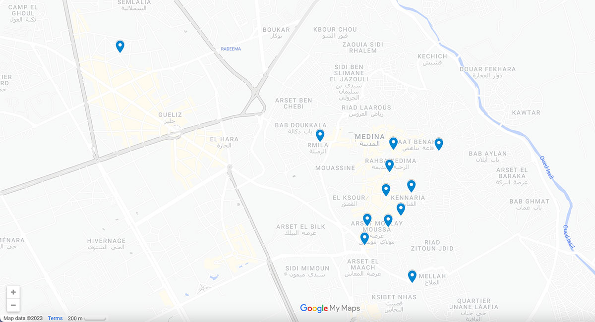 Map with pins