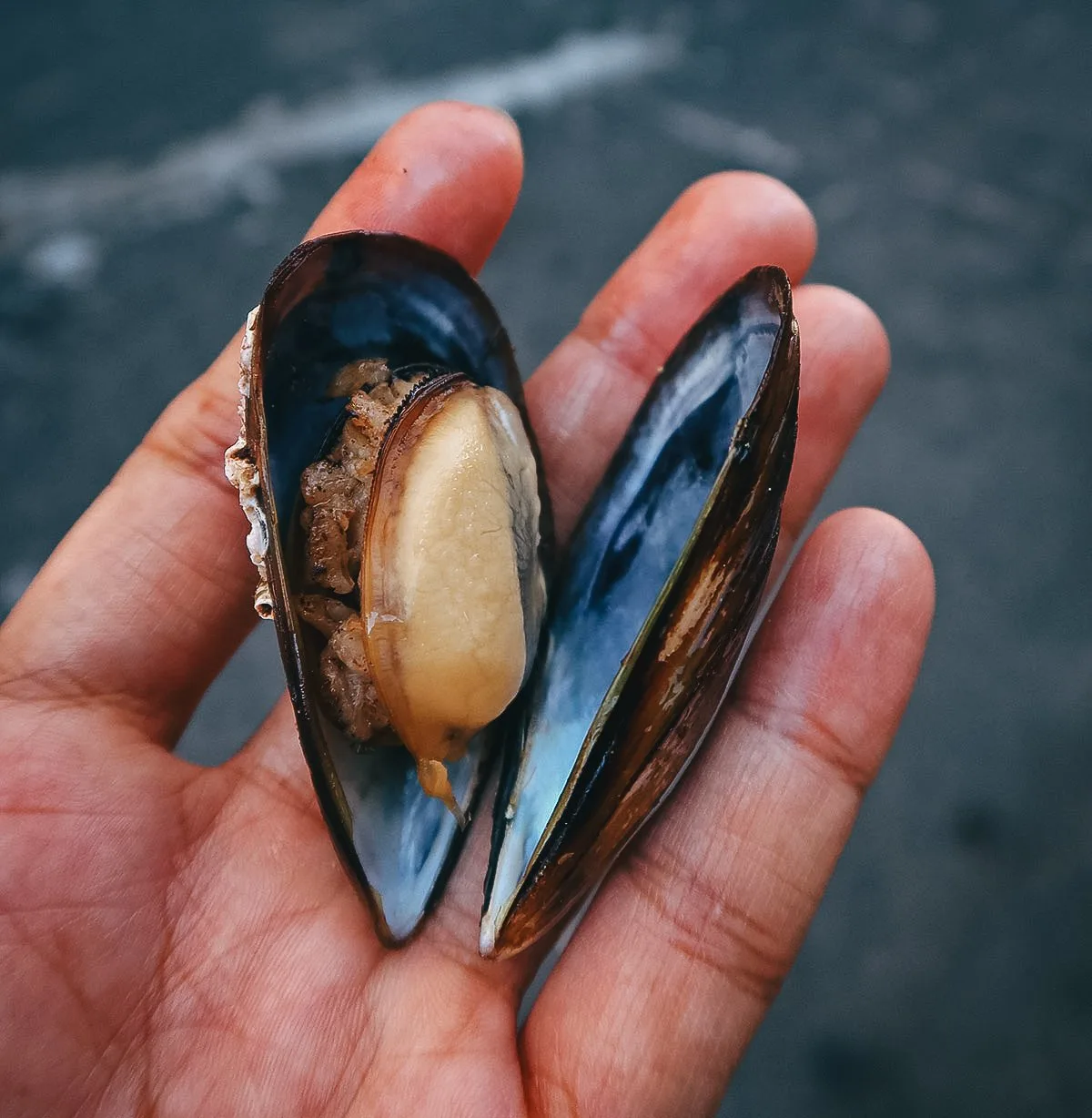 Stuffed mussel at a seafood restaurant in Istanbul