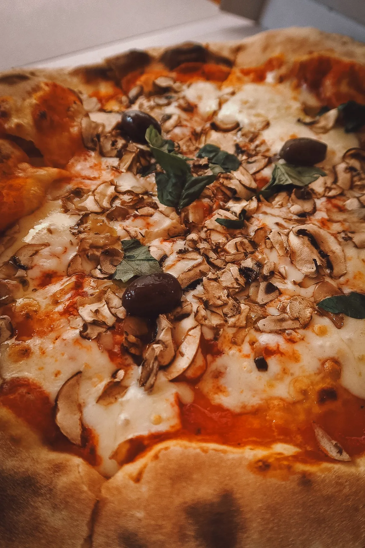 The Best Restaurants in Zadar Funghi pizza at a restaurant in Zadar