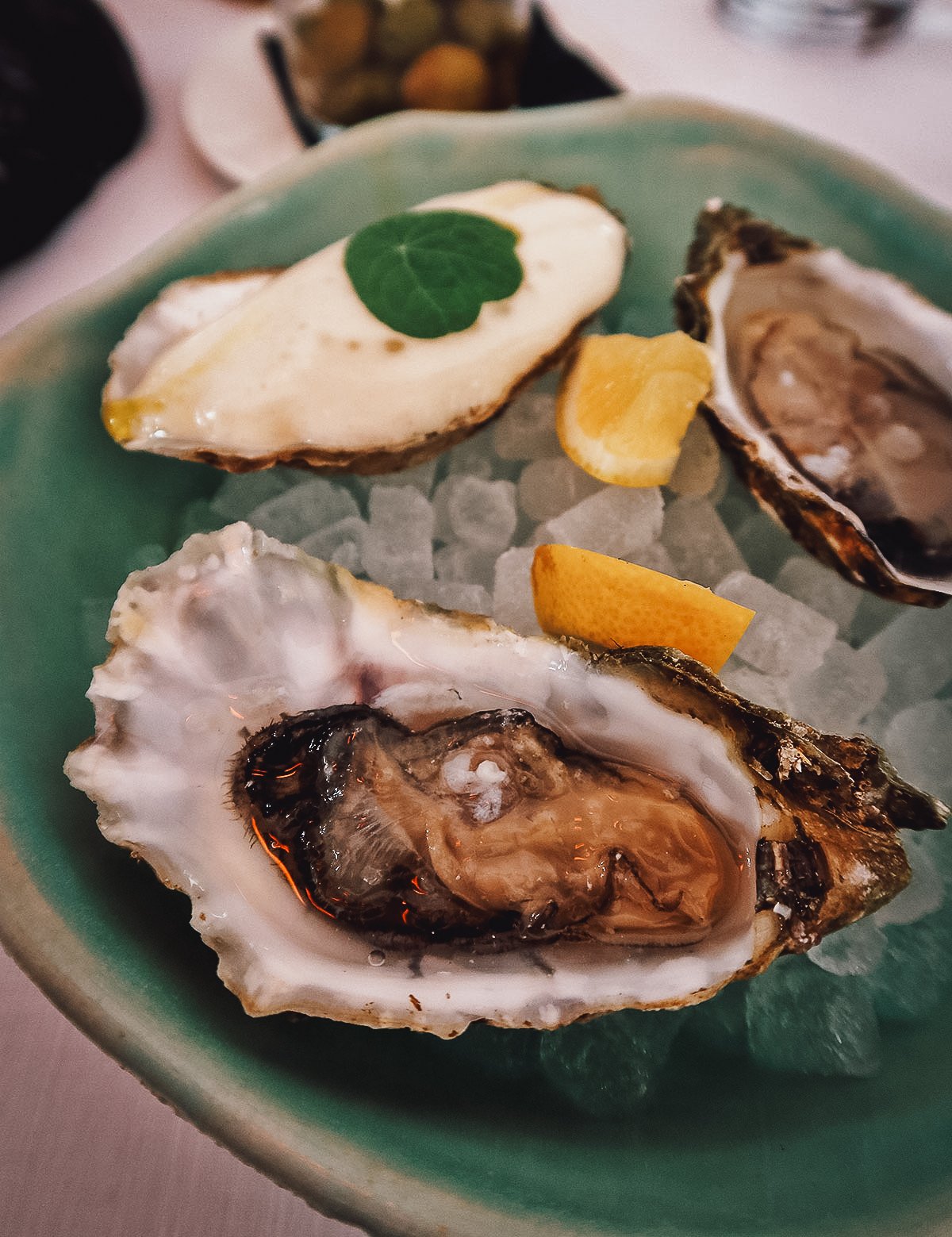 Oysters at a restaurant in Malaga