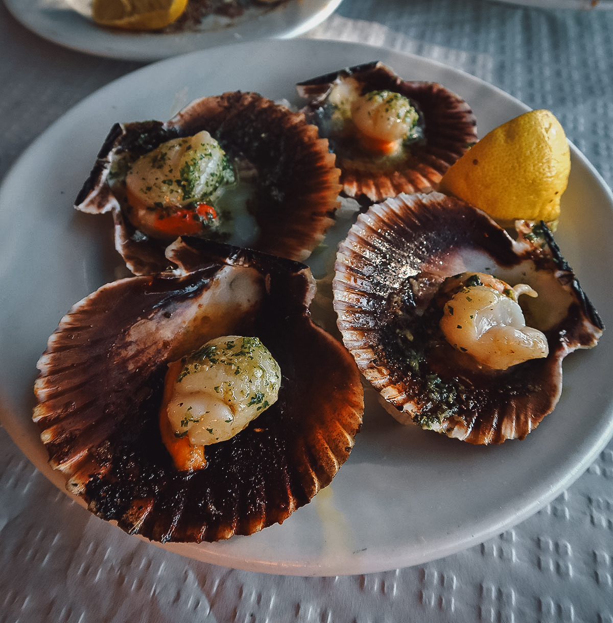 Scallops at a restaurant in Malaga