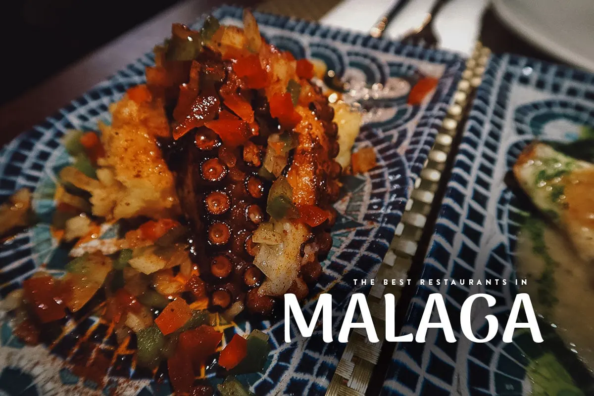 Dishes from restaurants in Malaga, Spain