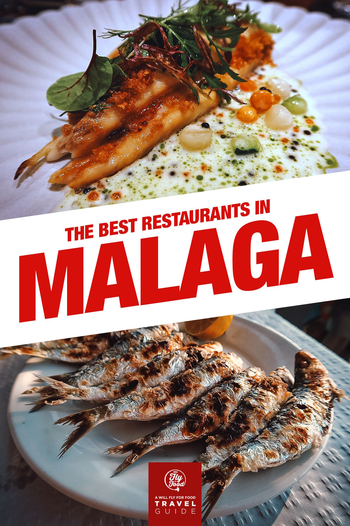 Dishes at restaurants in Malaga