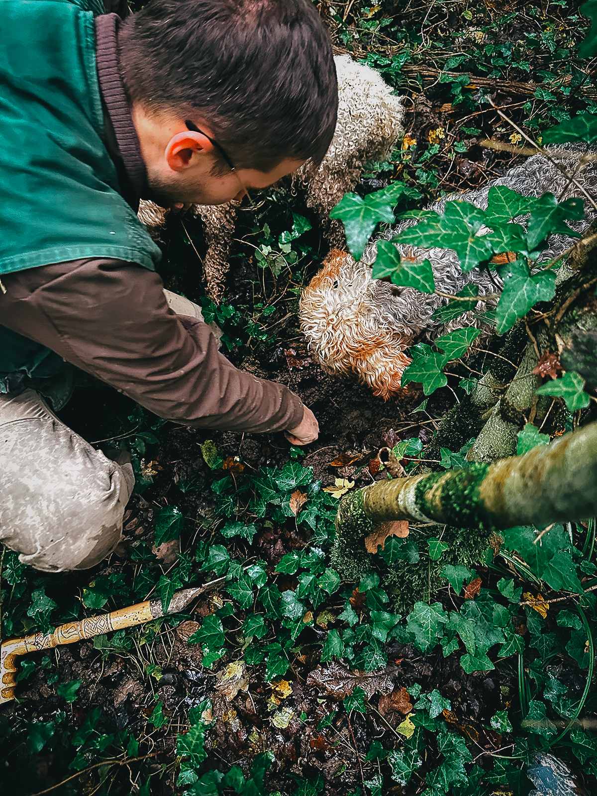 Sniffing for truffles