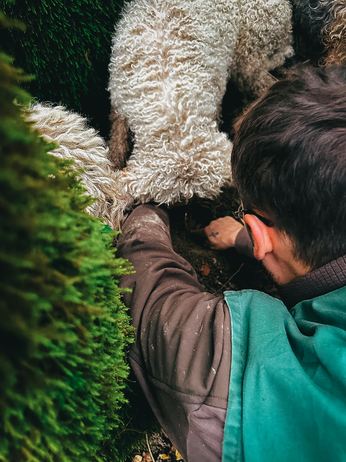 Sniffing for truffles