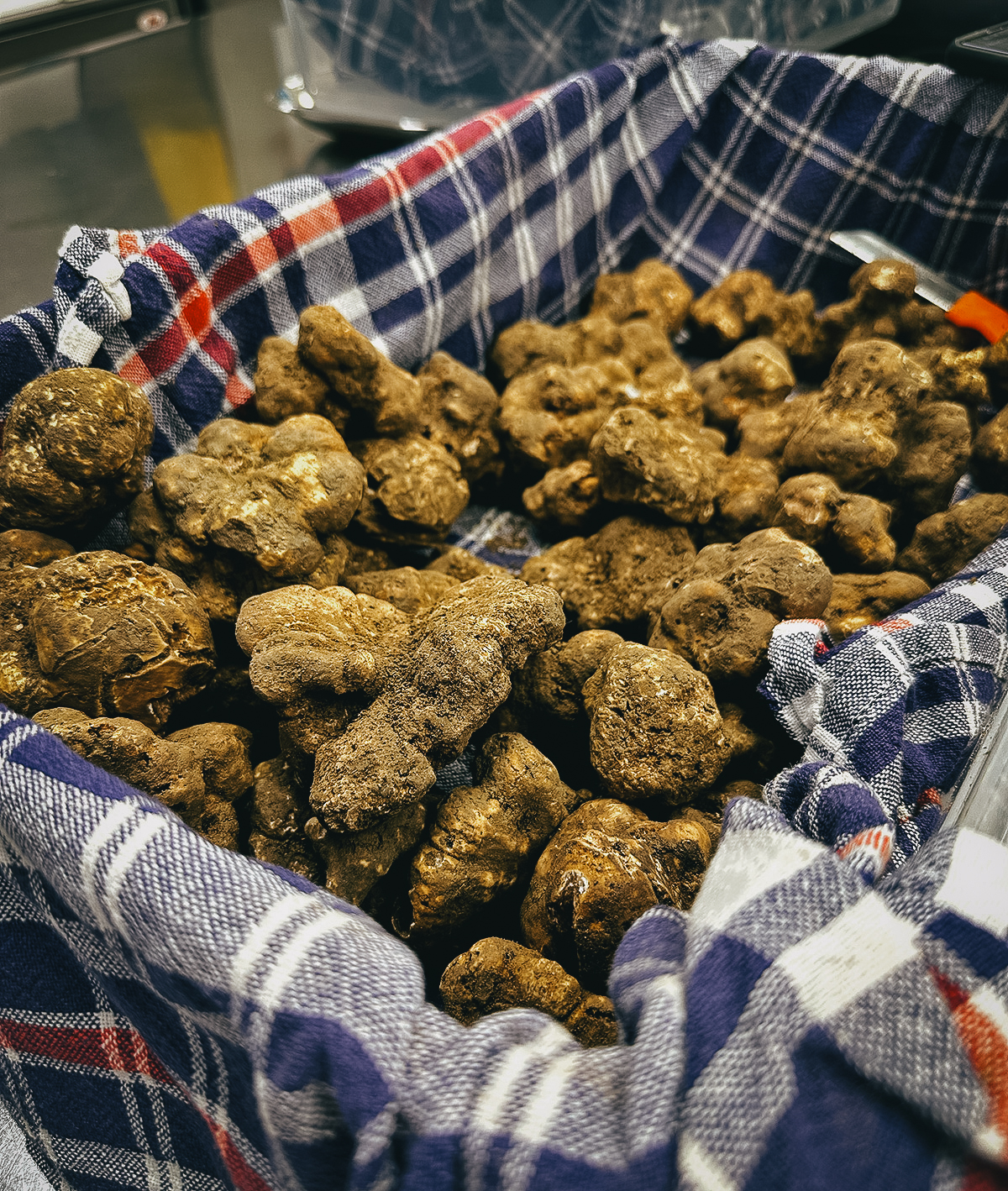 Basket of truffles