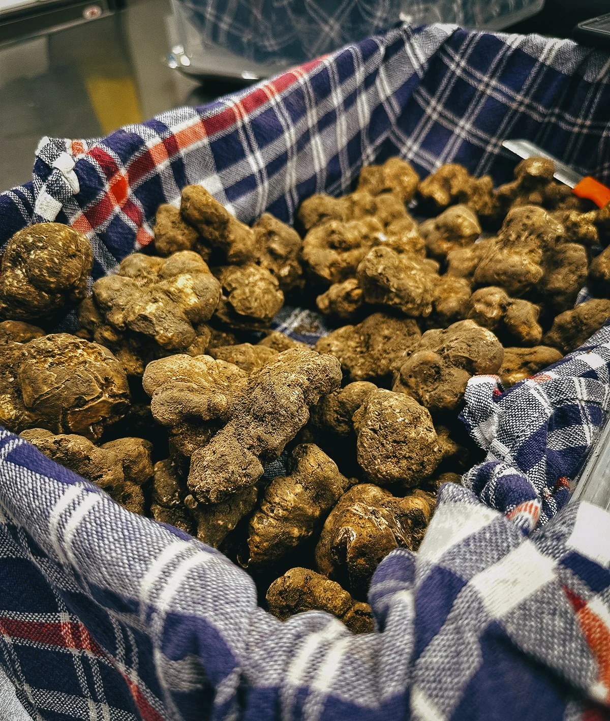 Basket of truffles