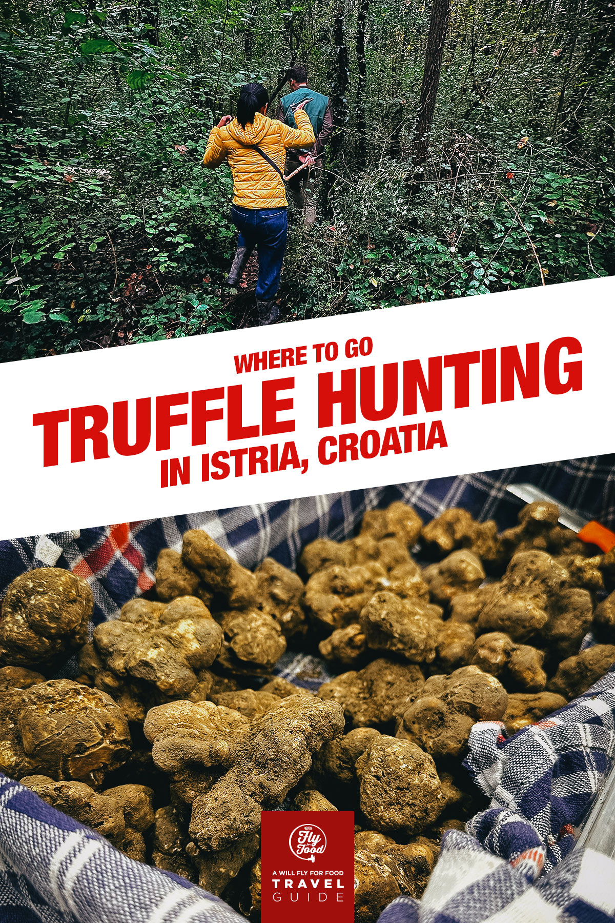Truffle hunting in Croatia