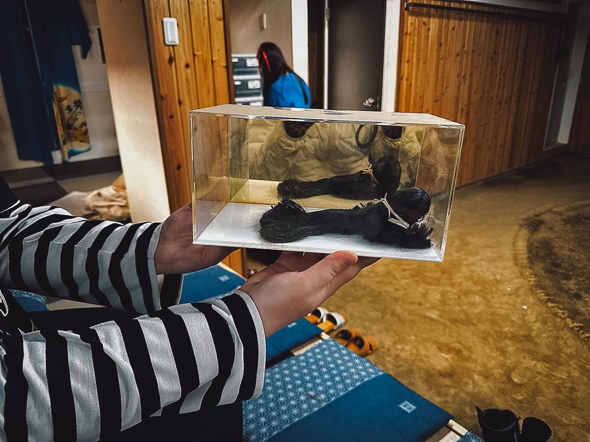 Sumo Experience in Tokyo Glass case with retired Sumo wrestler's top knot