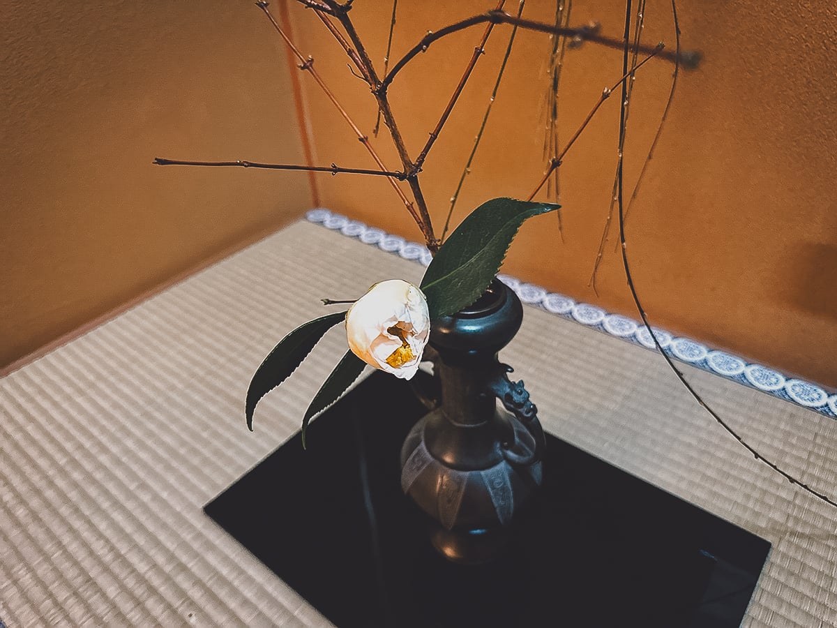 Close-up of a flower