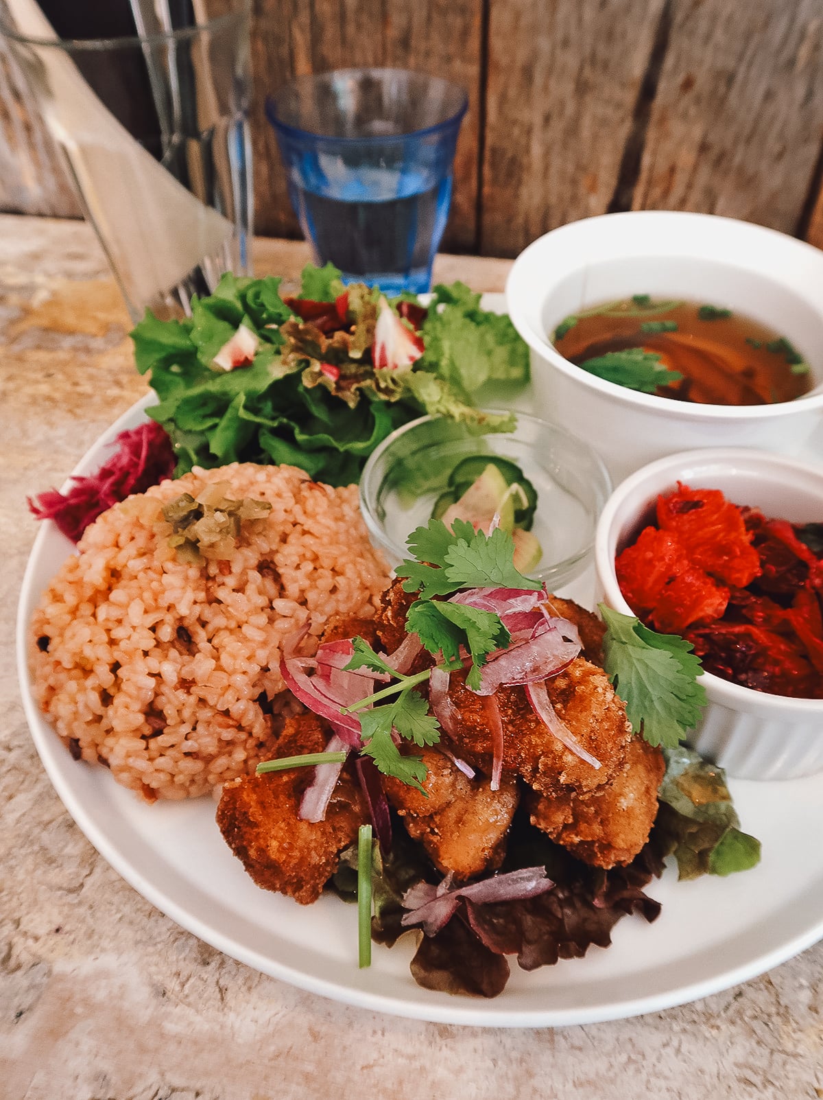 Vegan Restaurants in Tokyo, Japan Plated vegan meal at Alaska Zwei