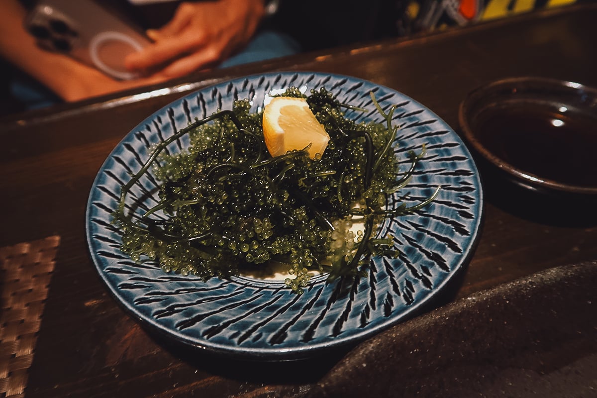 Umibudo